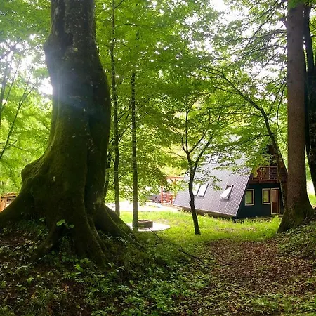 Zen House Alpesi faház