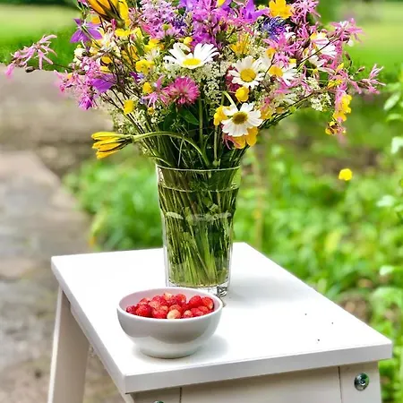 Zen House Chalet Brod na Kupi