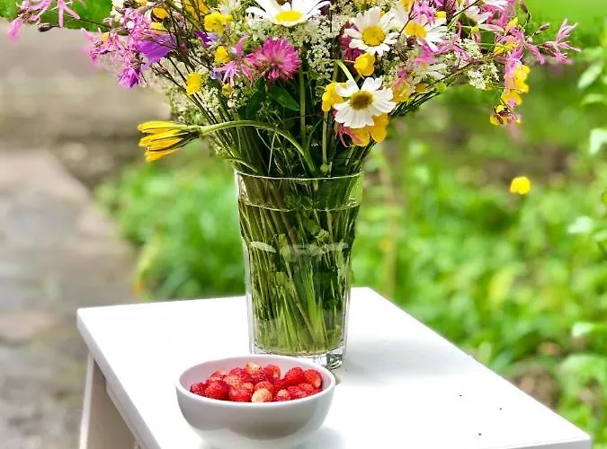 Zen House Chaletu Brod na Kupi